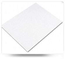 Poly Coated Paper