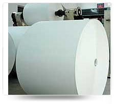 Poly Coated Paper